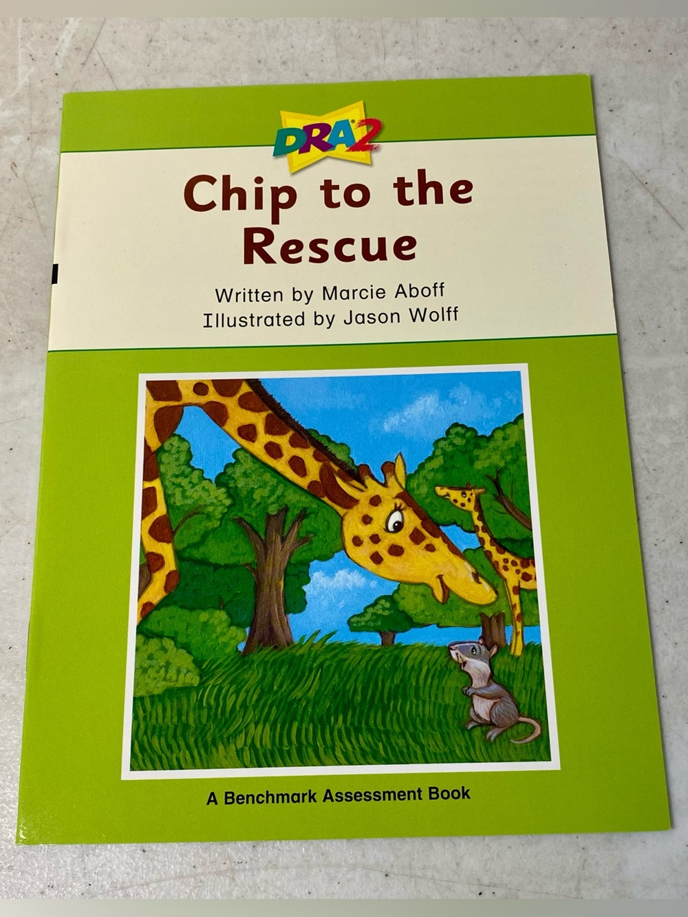 Chip to the Rescue (A Benchmark Assessment Book Level 16) - Paperback -Very Good